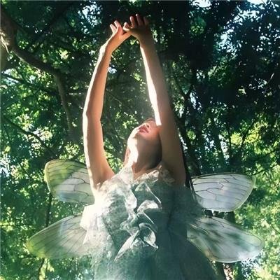 新荡女芬妮海报