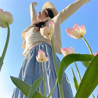 高达神曲海报