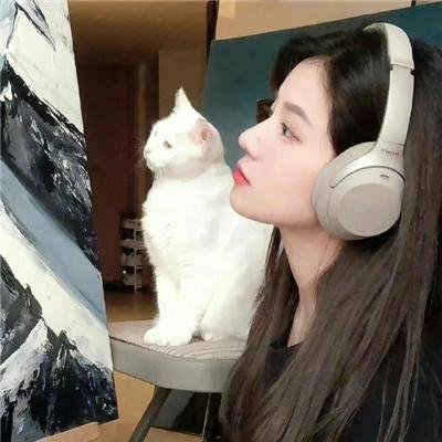 自梳海报